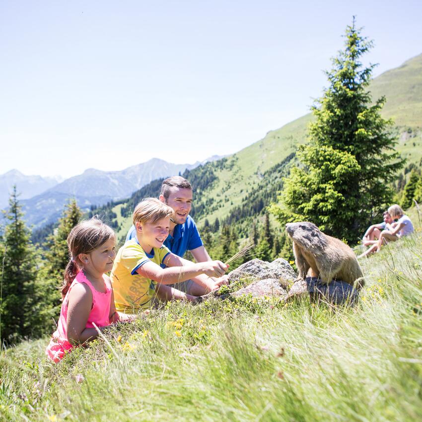 kids with marmot in tyrol