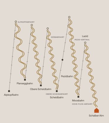 Route graphic of the black runs: via Alpkopfbahn and Alpkopfabfahrt to the Planseggbahn and the Kerbabfahrt, via Obere Scheidbahn and Scheidbahn to the Pezidbahn and the Pezid-Vertikal, with the Moosbahn up to the Lazid, the Hohe-Pleis-Abfahrt and the Schalber Alm.