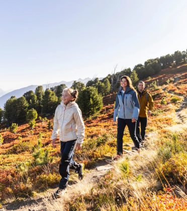 Drei Wandernde auf einem Weg durch herbstlich gefärbte Sträucher