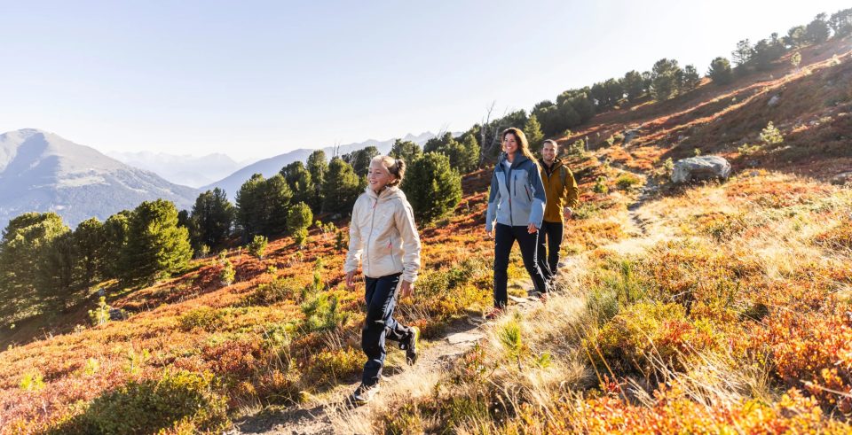 Drei Wandernde auf einem Weg durch herbstlich gefärbte Sträucher