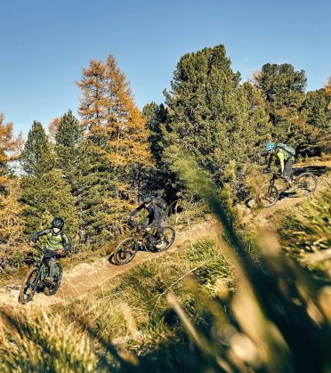 Drei Mountainbikende fahren auf einem schmalen Trail durch einen Zirbenwald.